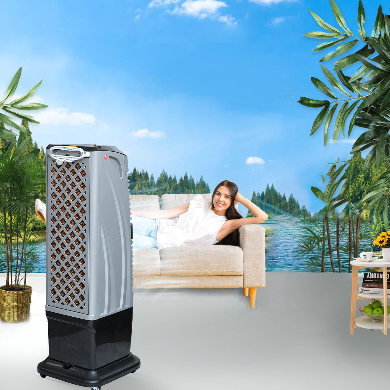 Effiel Air Cooler