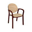SAAB SP-675 New Full Plastic Indoor and Outdoor Spectrum Patti Chair