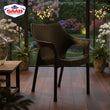 Rattan Chair SP-317-RL